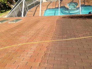 Roof Cleaning Jacksonville