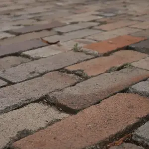 Clay Pavers