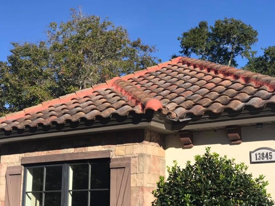 Roof Cleaning in Fernandina Beach, FL